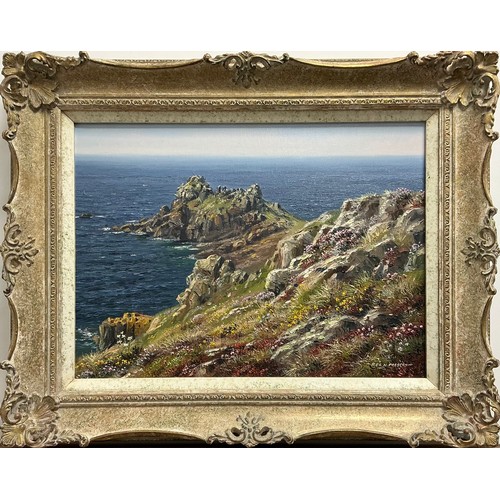 43 - Rex N Preston (Bn. 1948)
Clear Day Gurnard's Head, Cornwall
signed, oil on canvas, 28cm x 39cm
