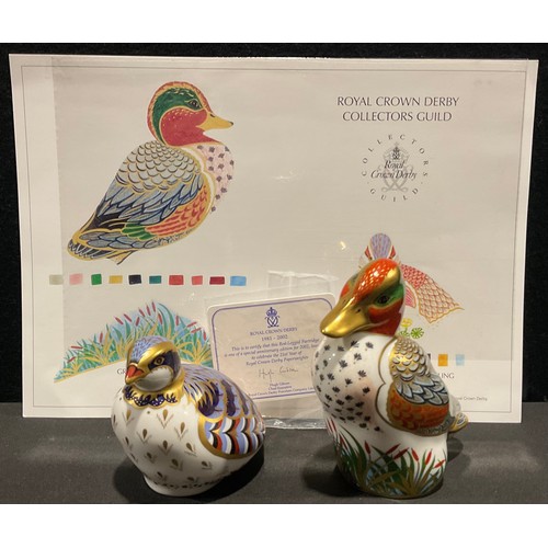 48 - A Royal Crown Derby paperweight, Green Winged Teal, 11cm, Collectors Guild Exclusive, date code for ... 