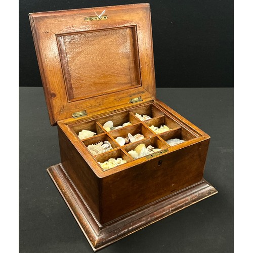Natural History - an early 20th century mahogany collector's box ...