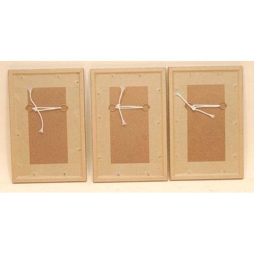 4127 - Indian School
A set of three, manuscript pages
watercolour, gouache and calligraphy, 21cm x 12.5cm