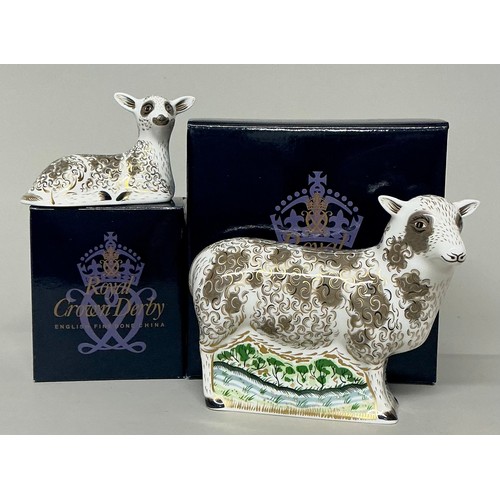 Lot 5024      