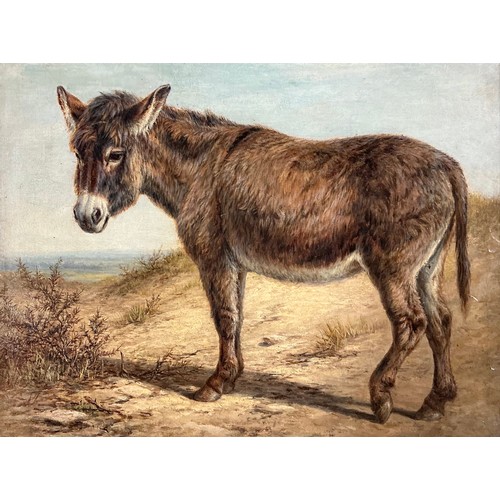 4 - Manner of Charles Jones (British, 1836-1892) 
A Donkey 
unsigned, oil on board, 27.5cm x 37cm