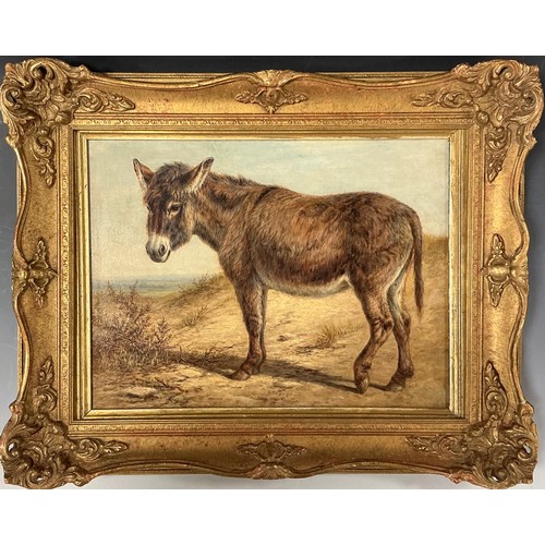 4 - Manner of Charles Jones (British, 1836-1892) 
A Donkey 
unsigned, oil on board, 27.5cm x 37cm