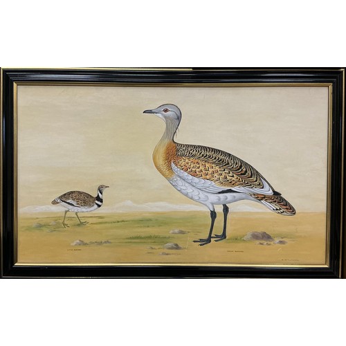 10 - A group of bird paintings - R. Verlander, Great and Little Bustard, signed, oil on board, 42cm x 73c... 