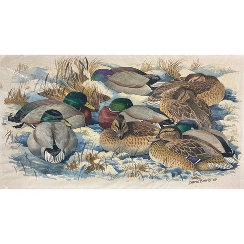 10 - A group of bird paintings - R. Verlander, Great and Little Bustard, signed, oil on board, 42cm x 73c... 