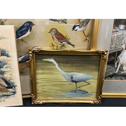 10 - A group of bird paintings - R. Verlander, Great and Little Bustard, signed, oil on board, 42cm x 73c... 