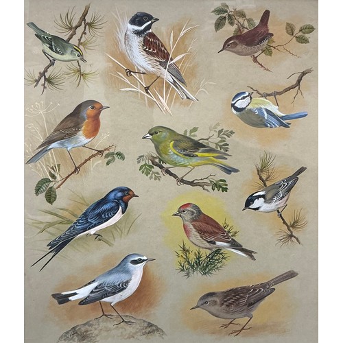 10 - A group of bird paintings - R. Verlander, Great and Little Bustard, signed, oil on board, 42cm x 73c... 
