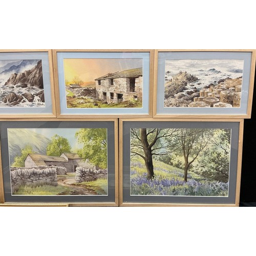 12 - Peter Woolley, a group of nine paintings, including a set of three, Bluebell Wood, A Welsh Farm, Bar... 