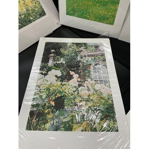 23 - Rosalind Forster (British, bn. 1948) A folio of signed limited edition gicleé prints - floral still ... 