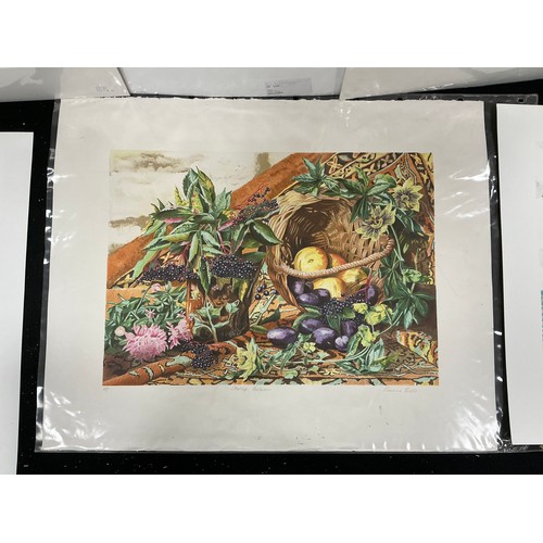 26 - Rosalind Forster (British, bn. 1948) a folio of limited edition lithographic, giclee, and linocut pr... 