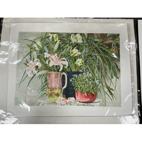 26 - Rosalind Forster (British, bn. 1948) a folio of limited edition lithographic, giclee, and linocut pr... 
