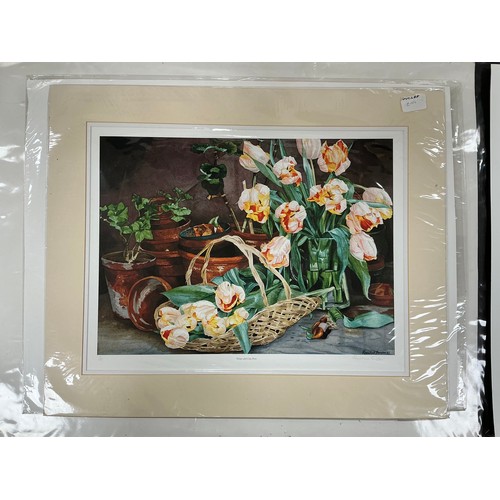 26 - Rosalind Forster (British, bn. 1948) a folio of limited edition lithographic, giclee, and linocut pr... 