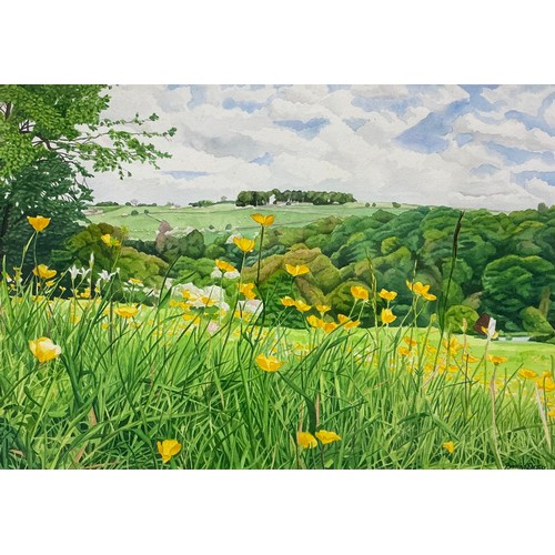 28 - Rosalind Forster (British, bn. 1948) 
Through the Buttercups, a Derbyshire Meadow in Summer, 
signed... 