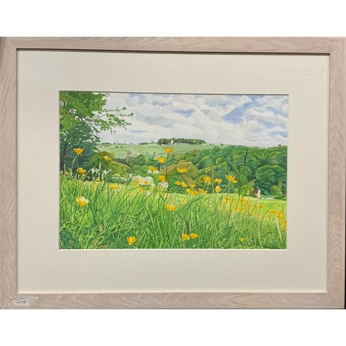 28 - Rosalind Forster (British, bn. 1948) 
Through the Buttercups, a Derbyshire Meadow in Summer, 
signed... 