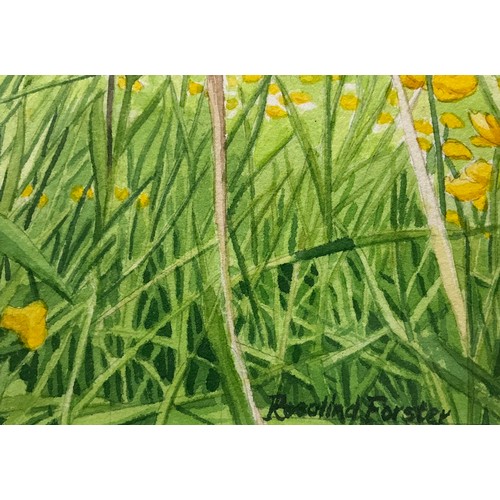 28 - Rosalind Forster (British, bn. 1948) 
Through the Buttercups, a Derbyshire Meadow in Summer, 
signed... 