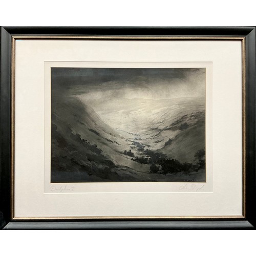 37 - Chris Skripek (Modern British, 20th / 21st century) Derbyshire I, monochromatic ‘light in landscape’... 