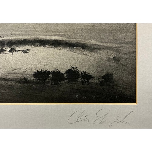 38 - Chris Skripek (Modern British, 20th / 21st century) Derbyshire III, monochromatic ‘light in landscap... 