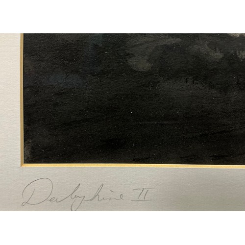 39 - Chris Skripek (Modern British, 20th / 21st century) Derbyshire II, monochromatic ‘light in landscape... 