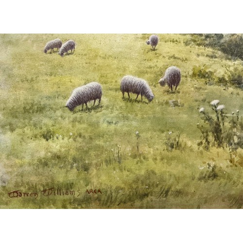 46 - Warren Williams ARCA (1863-1941) 
Snowdon 
signed, watercolour, 35cm x 52.5cm