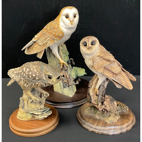24 - Border Fine Arts -  Barn Owl, another similar owl, painted by Ann Wall, other with box (3).