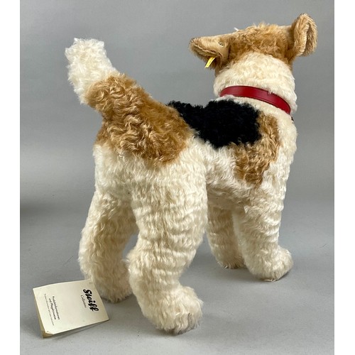 6037 - Steiff (Germany) EAN 031717 ‘Foxy’ Foxterrier, trademark 'Steiff' button to ear with red and yellow ... 
