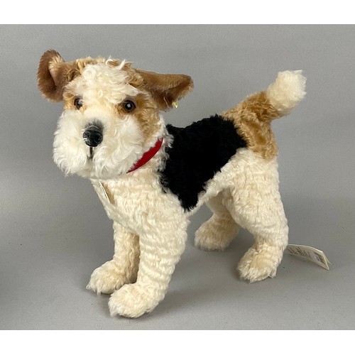6037 - Steiff (Germany) EAN 031717 ‘Foxy’ Foxterrier, trademark 'Steiff' button to ear with red and yellow ... 