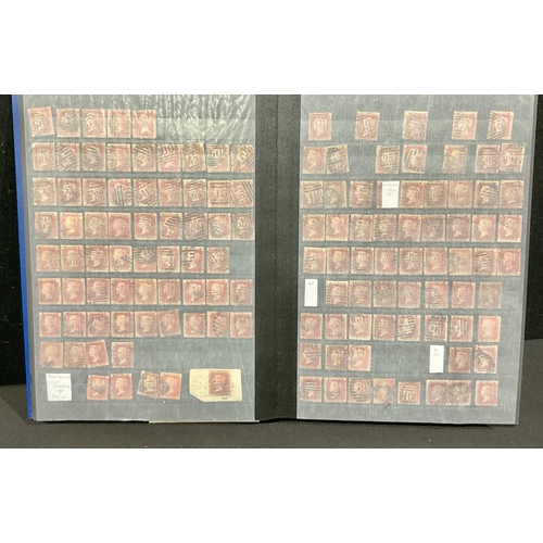 Lot 5019      