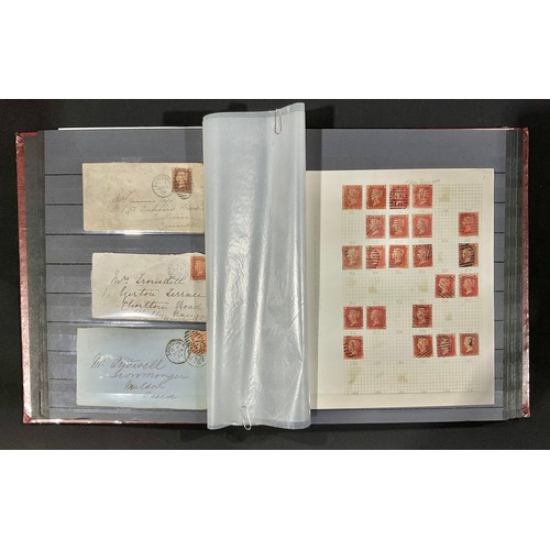 Lot 5029      