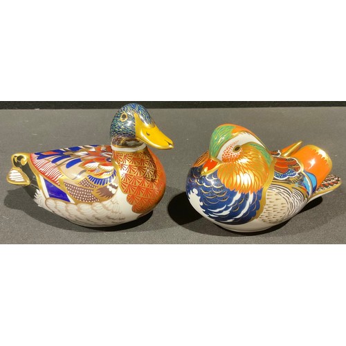 5059 - A Royal Crown Derby paperweight Mandarin Duck, gold stopper printed marks, another Mallard Duck, gol... 