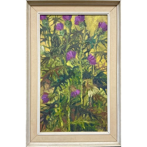 277 - H J Yapp, (British, 20th century) 
Thistles 
oil on board, signed, dated 72(19), 70cm x 40cm, framed... 