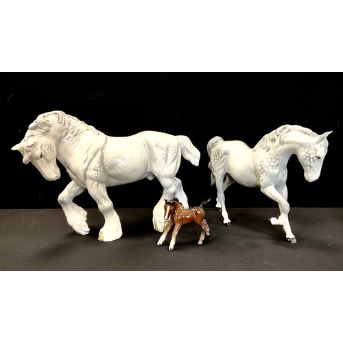 Lot 1016      