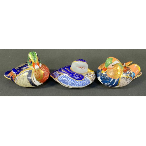 Lot 5024      