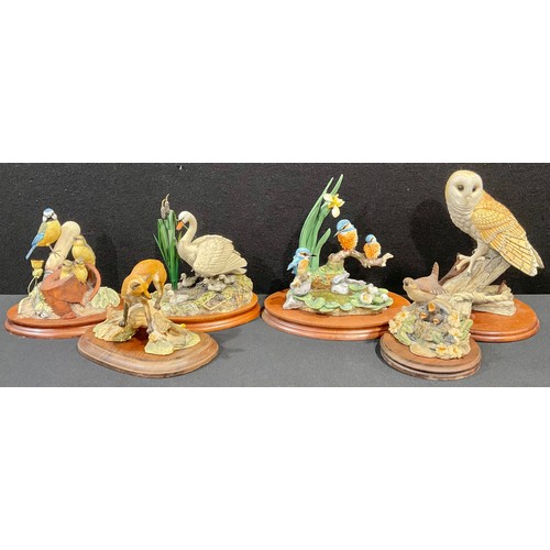 Lot 5036      