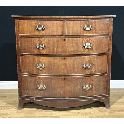 Lot 3009      