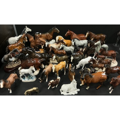 Lot 56        