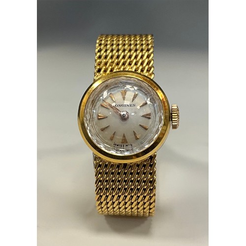 Lot 1036      