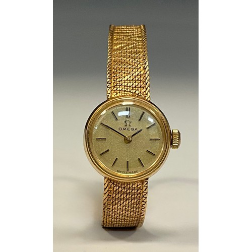 Lot 1041      