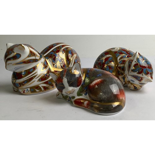 Lot 21        