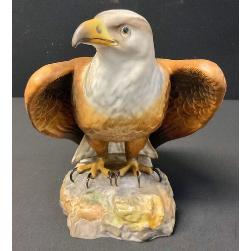 Lot 53        