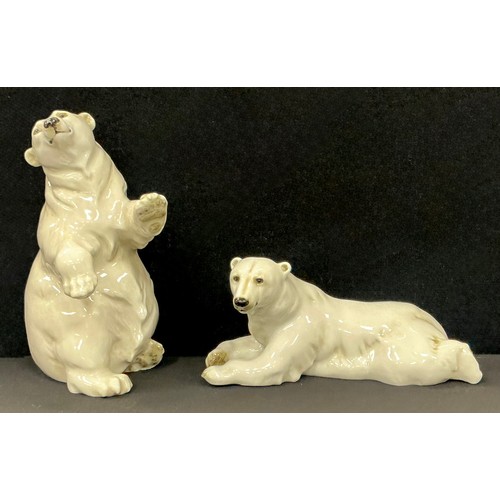 Lot 23        