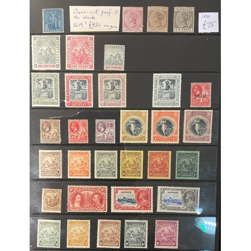 Lot 33        