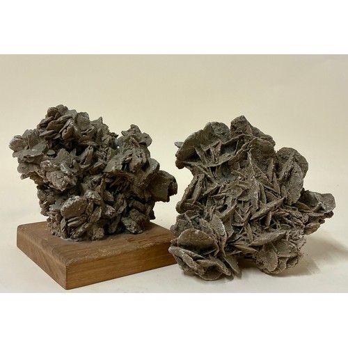 Lot 5039      