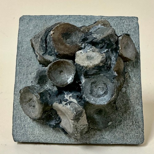 5038 - A composed Ichthyosaurus (Ichthyosaurus communis) dinosaur vertebrae fossil cluster of sculptural fo... 