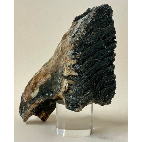 Lot 5037      