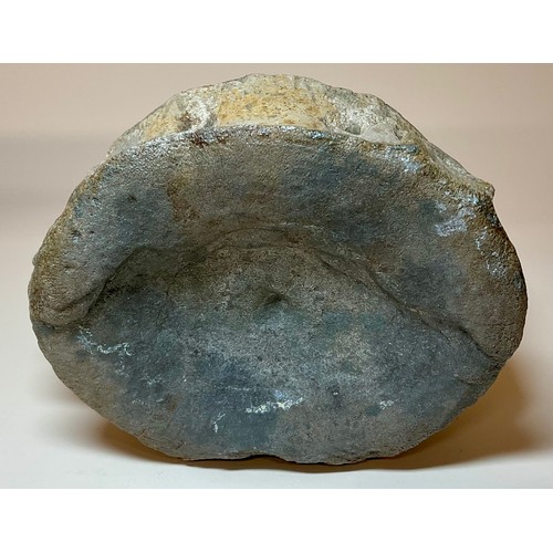 5030 - A British Upper Jurassic Period Pliosaurus dinosaur vertebrae (Stretosaurus cf. macromerus) Kimmerid... 