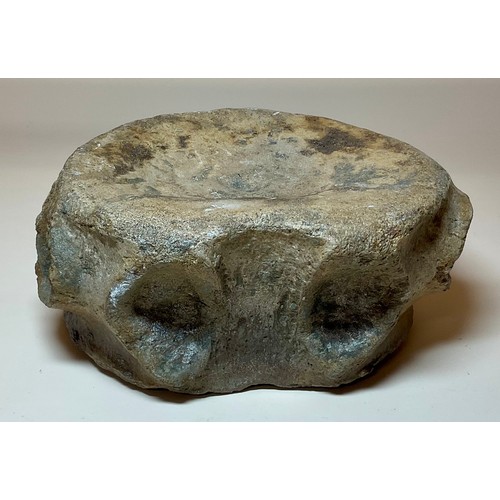 5030 - A British Upper Jurassic Period Pliosaurus dinosaur vertebrae (Stretosaurus cf. macromerus) Kimmerid... 