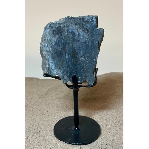5027 - A Jurassic Period Camarasaurus vertebrae section on stand, sculptural form, Morrison Formation, Wyom... 