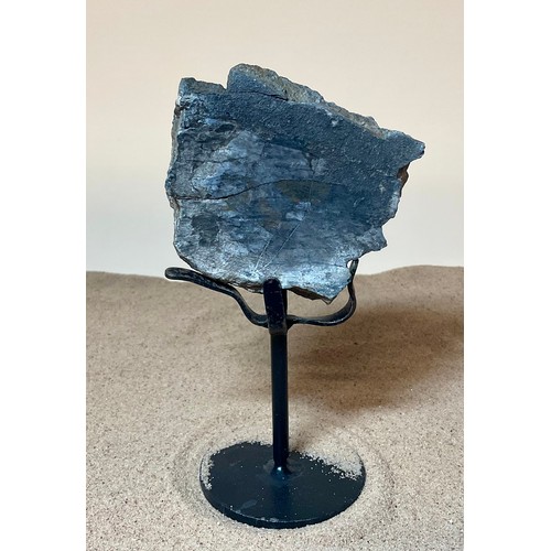 5027 - A Jurassic Period Camarasaurus vertebrae section on stand, sculptural form, Morrison Formation, Wyom... 