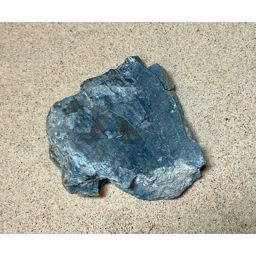 5027 - A Jurassic Period Camarasaurus vertebrae section on stand, sculptural form, Morrison Formation, Wyom... 