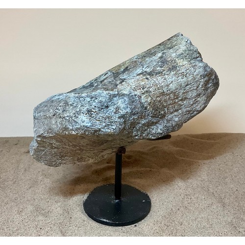 5028 - A Jurassic Period Camarasaurus vertebrae section on stand, sculptural form, Morrison Formation, Wyom... 